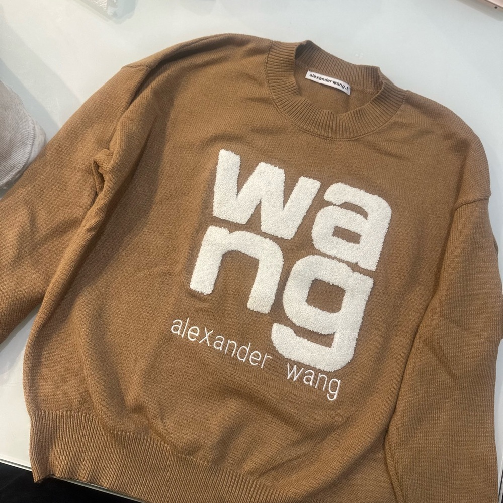 Alexander Wang Brown Sweater Unisex